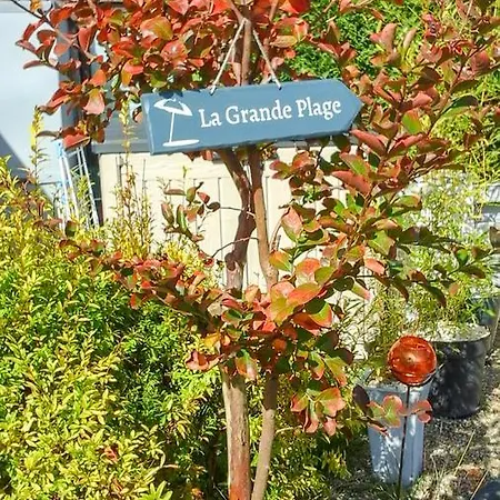 Dans Une Avec Piscine *